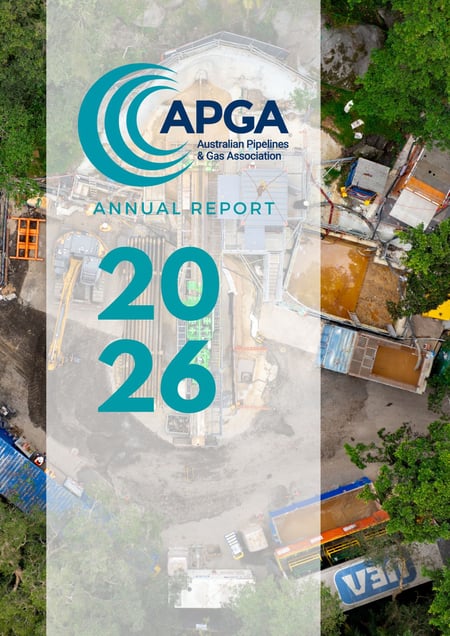 APGA Annual Report 202526
