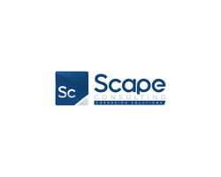 scape-consulting